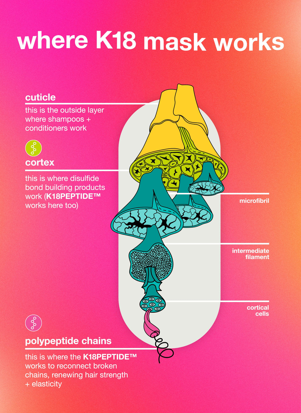 repair + protect minis